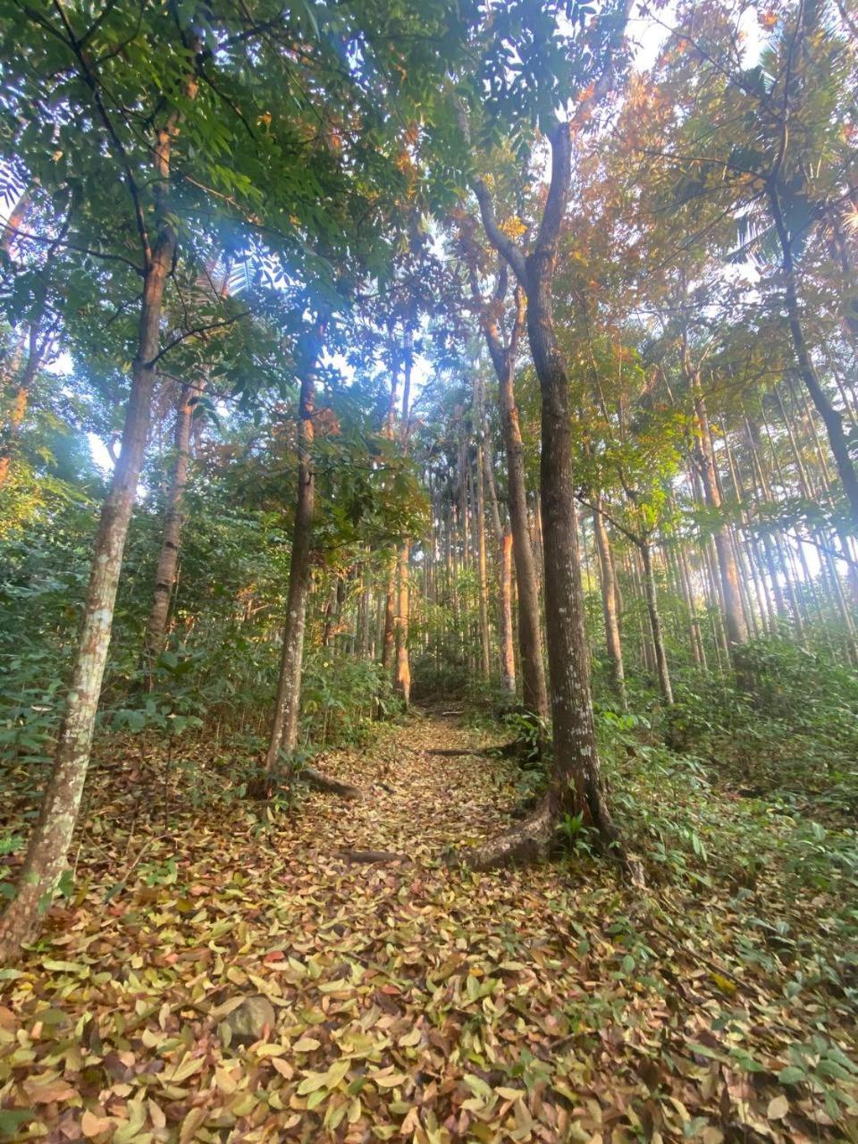 Momarco Forest Cove Tanay Εξωτερικό φωτογραφία